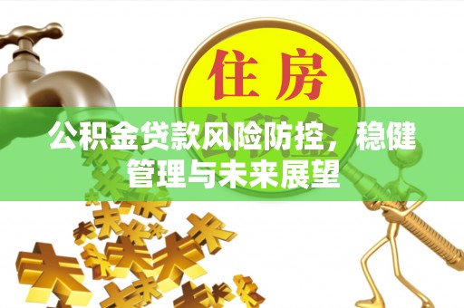 口湖公积金贷款风险防控，稳健管理与未来展望