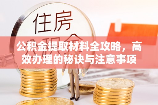 口湖公积金提取材料全攻略，高效办理的秘诀与注意事项