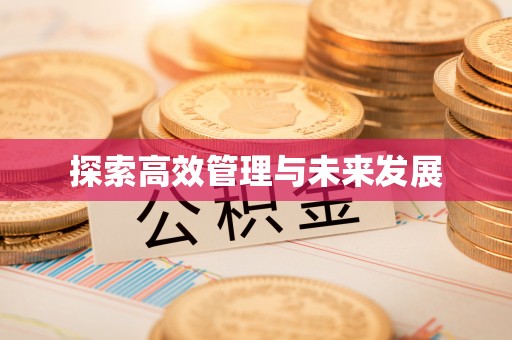 口湖探索高效管理与未来发展