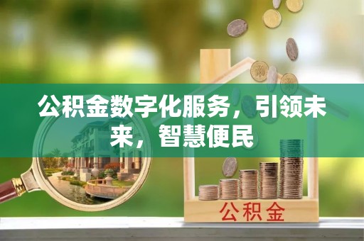 口湖公积金数字化服务，引领未来，智慧便民