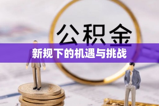 口湖新规下的机遇与挑战
