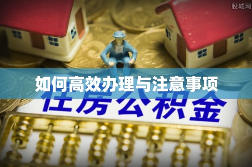 口湖如何高效办理与注意事项