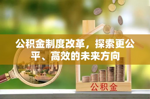 口湖公积金制度改革，探索更公平、高效的未来方向
