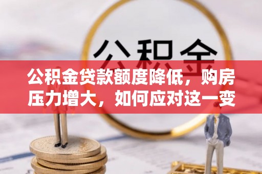 口湖公积金贷款额度降低，购房压力增大，如何应对这一变化？