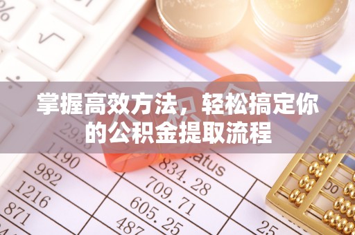 口湖掌握高效方法，轻松搞定你的公积金提取流程