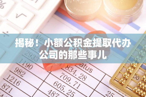 口湖揭秘！小额公积金提取代办公司的那些事儿