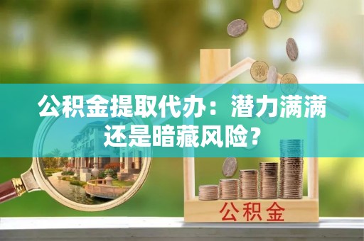 口湖公积金提取代办：潜力满满还是暗藏风险？