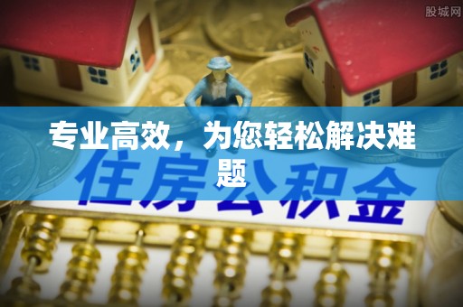 口湖专业高效，为您轻松解决难题
