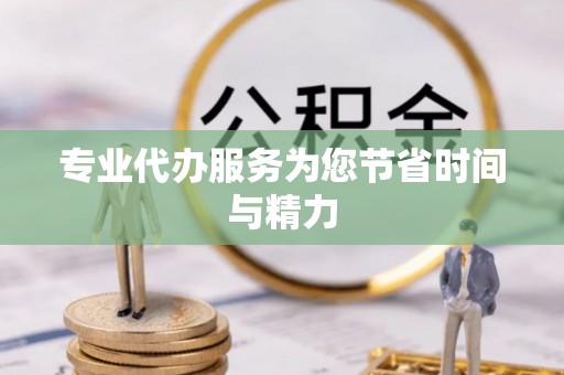 口湖专业代办服务为您节省时间与精力