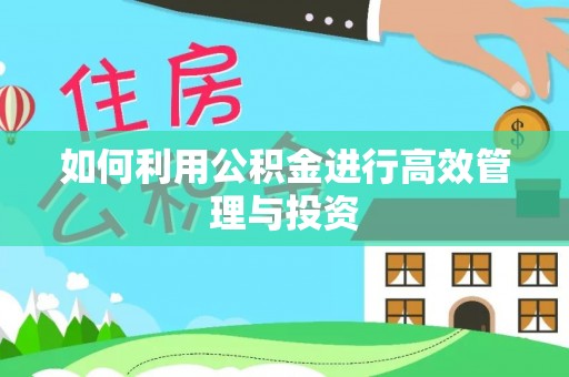 口湖如何利用公积金进行高效管理与投资