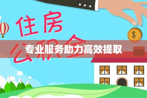 口湖专业服务助力高效提取