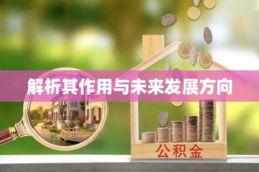 口湖解析其作用与未来发展方向