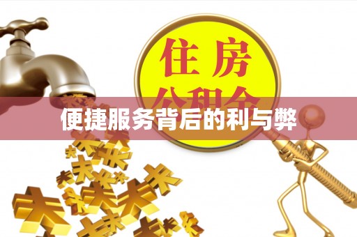 口湖便捷服务背后的利与弊