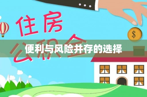 口湖便利与风险并存的选择