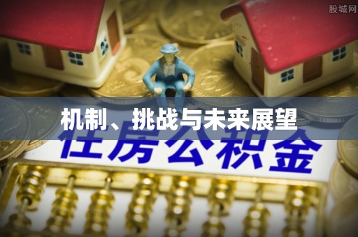 口湖机制、挑战与未来展望