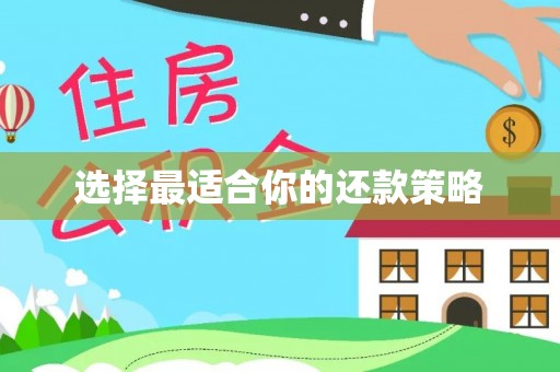 口湖选择最适合你的还款策略