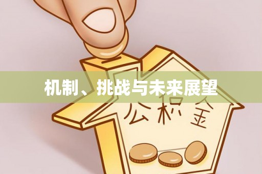 口湖机制、挑战与未来展望