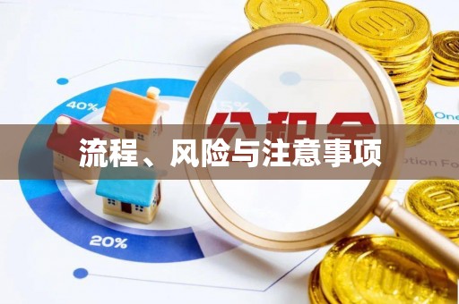 口湖流程、风险与注意事项