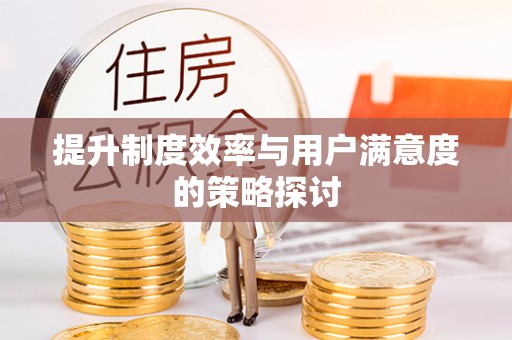 口湖提升制度效率与用户满意度的策略探讨