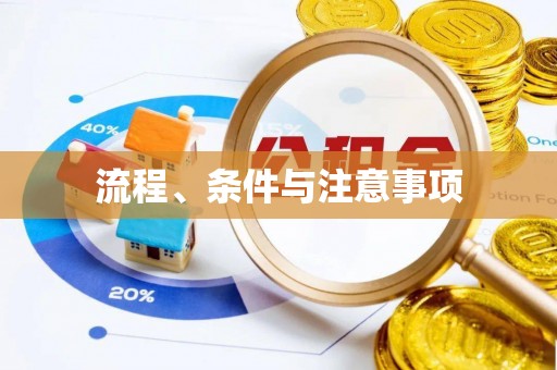口湖流程、条件与注意事项